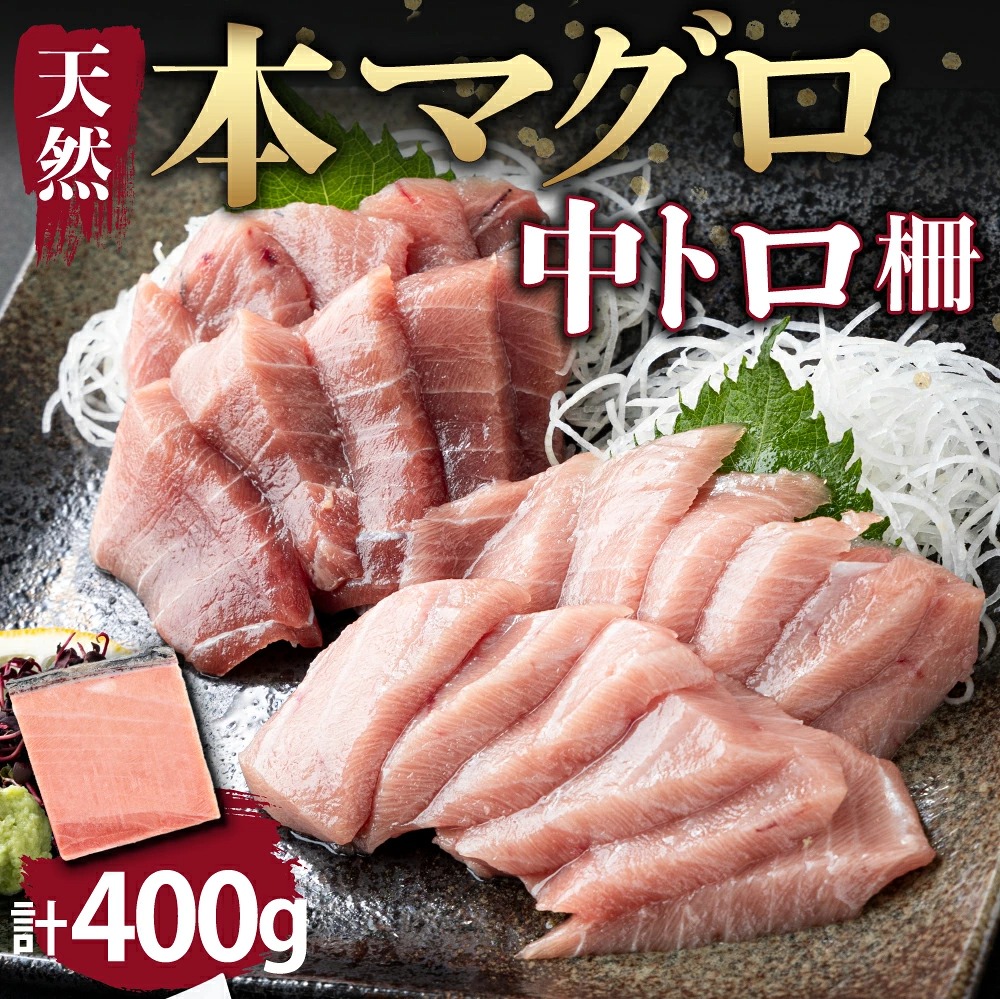 厳選！ 天然本まぐろ 中トロ ４００ｇ お刺身用 天然まぐろ 天然マグロ まぐろ 鮪 刺身 お刺身 サク 柵 高知 室戸 冷凍 瞬間冷凍 高知県 室戸市 tk076