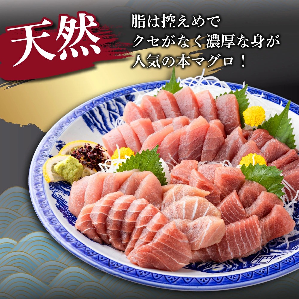厳選！ 天然本まぐろ 中トロ ４００ｇ お刺身用 天然まぐろ 天然マグロ まぐろ 鮪 刺身 お刺身 サク 柵 高知 室戸 冷凍 瞬間冷凍 高知県 室戸市 tk076