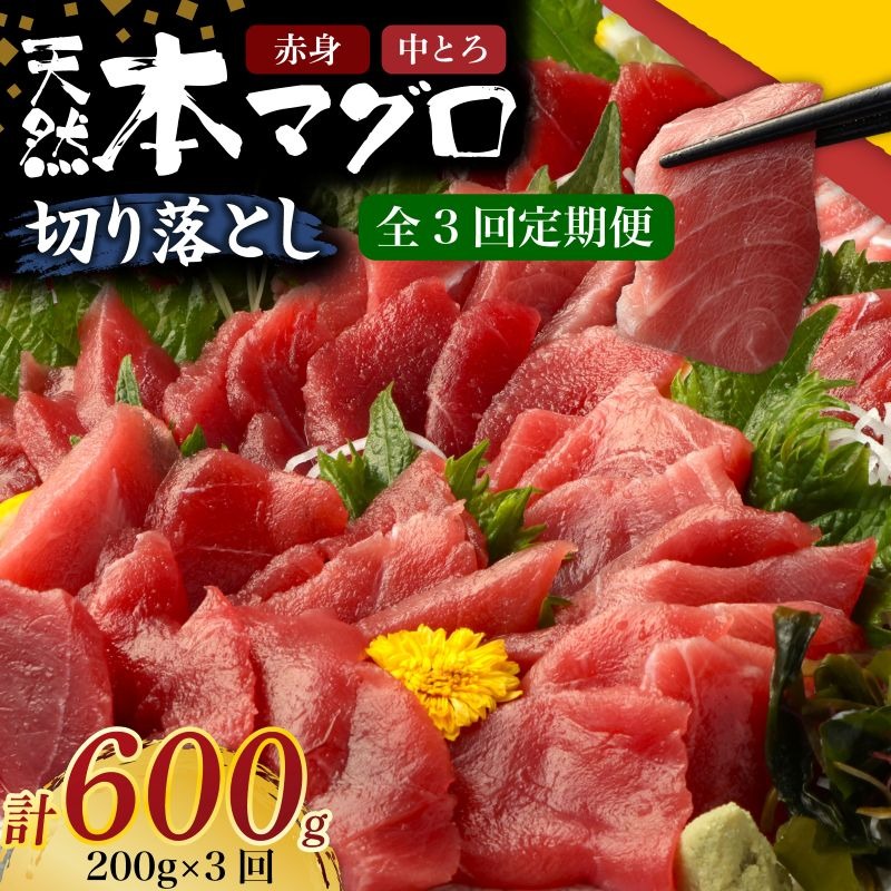 【 3回定期便 】 天然本マグロ 中トロ 赤身 切り落とし 200g 小分け(100g×2パック) 訳あり マグロ 刺身 カルパッチョ まぐろ丼 まぐろ漬け丼 魚 惣菜 海鮮丼 高知県 室戸市 tk147
