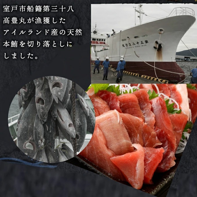 【 6回定期便 】 天然本マグロ 中トロ 赤身 切り落とし 200g 小分け(100g×2パック) 訳あり マグロ 刺身 カルパッチョ まぐろ丼 まぐろ漬け丼 魚 惣菜 海鮮丼 高知県 室戸市 tk148