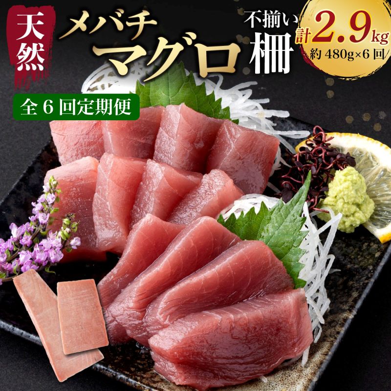 訳あり 天然メバチマグロ 480g
