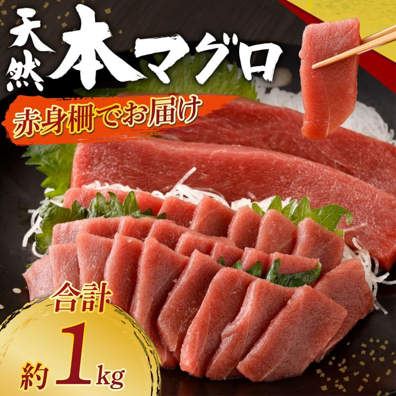 天然本まぐろ 赤身サク 合計約1kg 刺身