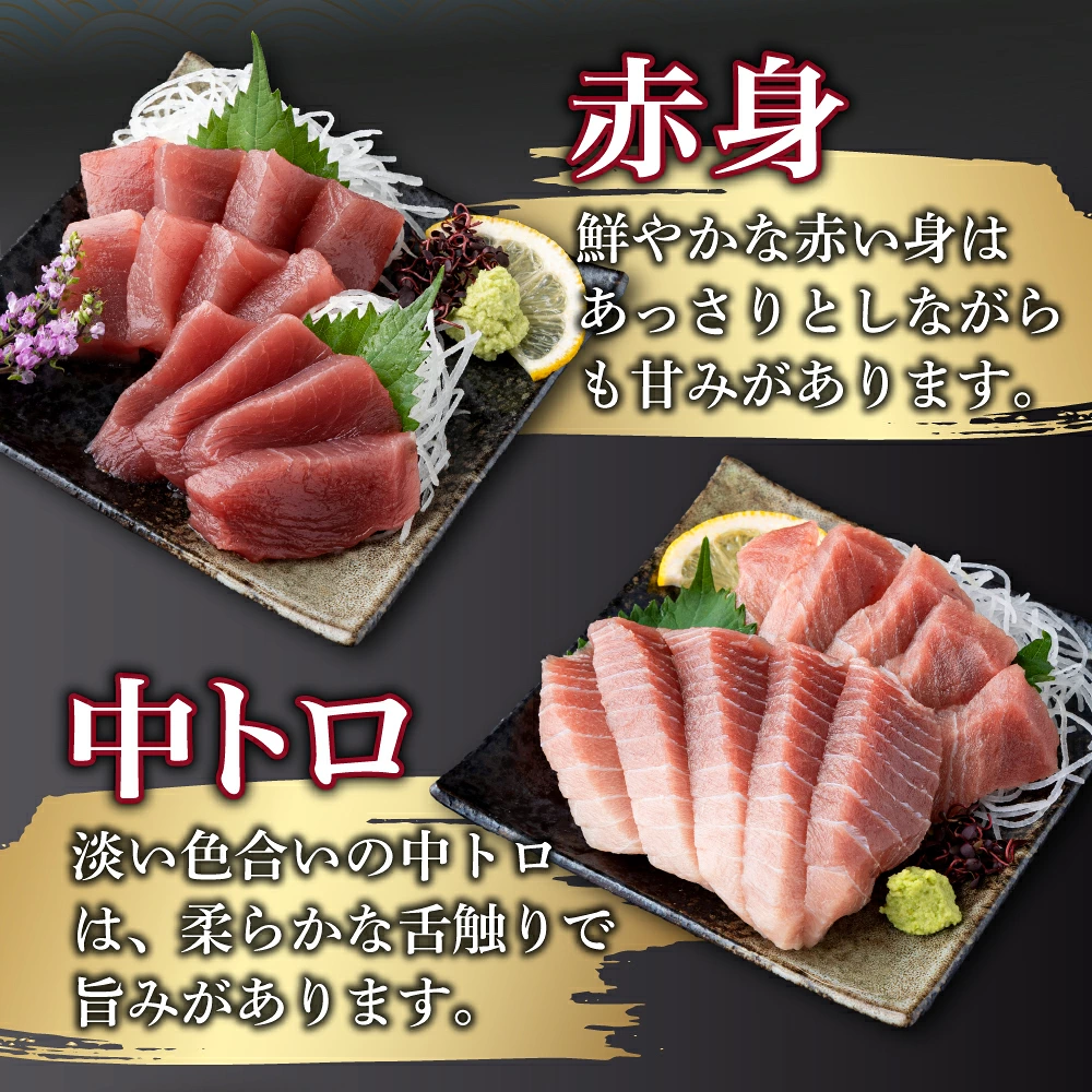 【 3回定期便 】 天然 マグロ 中トロ 赤身 柵 計1.3kg以上 サク さく メバチ 天然まぐろ マグロ 鮪 まぐろ 100% 冷凍 刺身 海鮮 丼 刺し身 小分け 高知県 室戸市 tk180