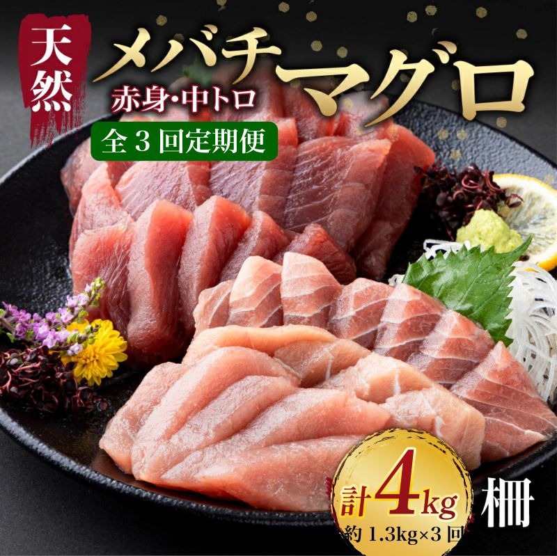 天然 マグロ 中トロ 赤身 柵 計1.3kg以上