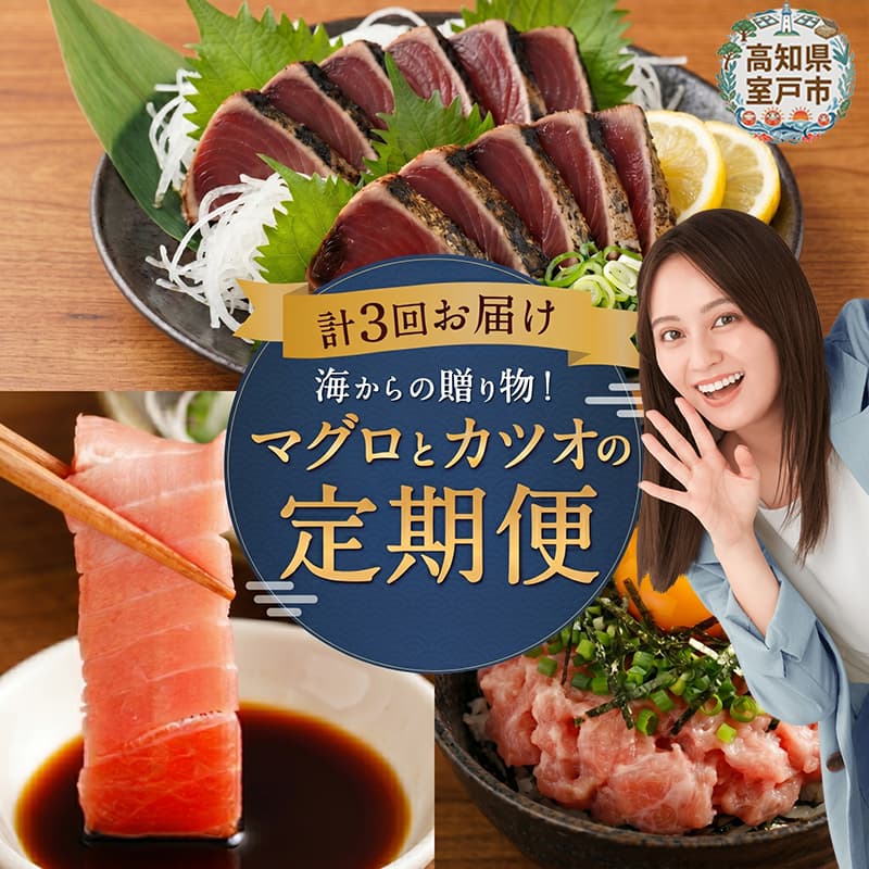 定期便 3回 海からの贈り物 ｜ マグロ カツオ 定期便 海鮮 鮪 鰹 セット カツオのたたき ネギトロ 中トロ 刺身 冷凍 魚 海産物 魚介類 まぐろたたき 藁焼き 訳あり 高知県 室戸市 tk006