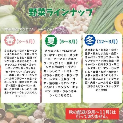 季節のお野菜詰め合わせセット 定期便 2回 4回 旬のおまかせ 詰め合わせ 産地直送 季節の新鮮 野菜 定期便 果物 セット じゃがいも きゅうり トマト とうもろこし アスパラガス 玉ねぎ 蓮根