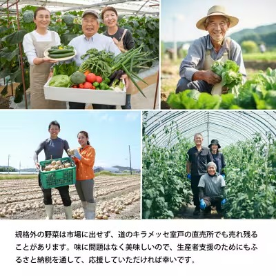 季節のお野菜詰め合わせセット 定期便 2回 4回 旬のおまかせ 詰め合わせ 産地直送 季節の新鮮 野菜 定期便 果物 セット じゃがいも きゅうり トマト とうもろこし アスパラガス 玉ねぎ 蓮根