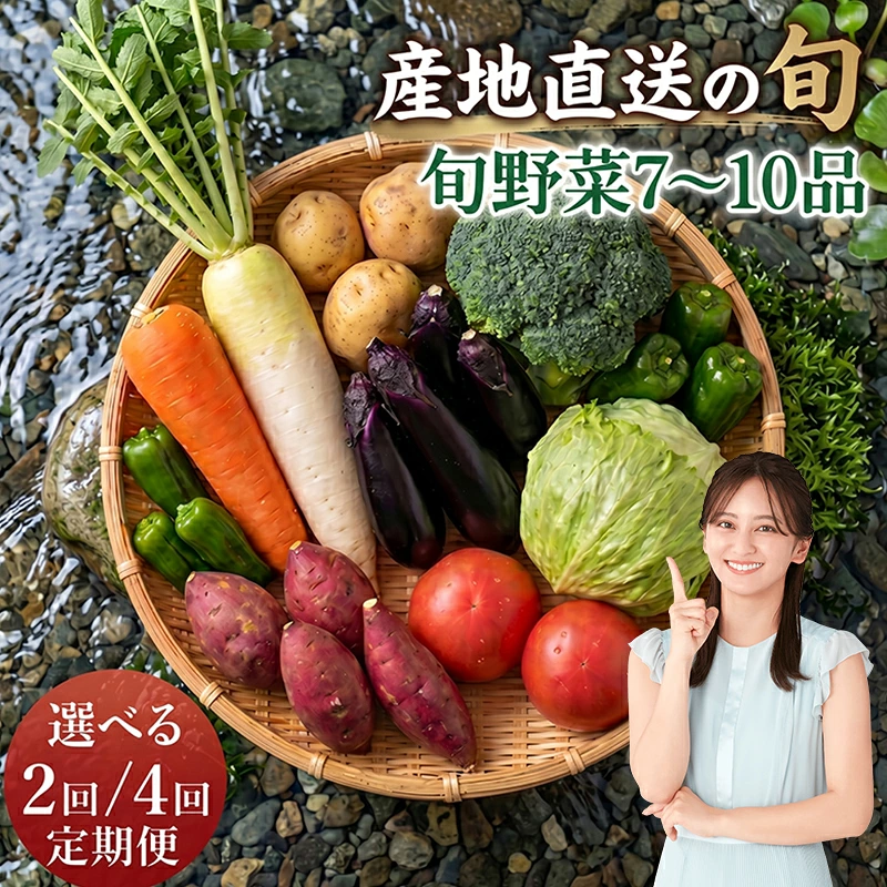季節のお野菜詰め合わせセット 定期便 2回 4回 旬のおまかせ 詰め合わせ 産地直送 季節の新鮮 野菜 定期便 果物 セット じゃがいも きゅうり トマト とうもろこし アスパラガス 玉ねぎ 蓮根