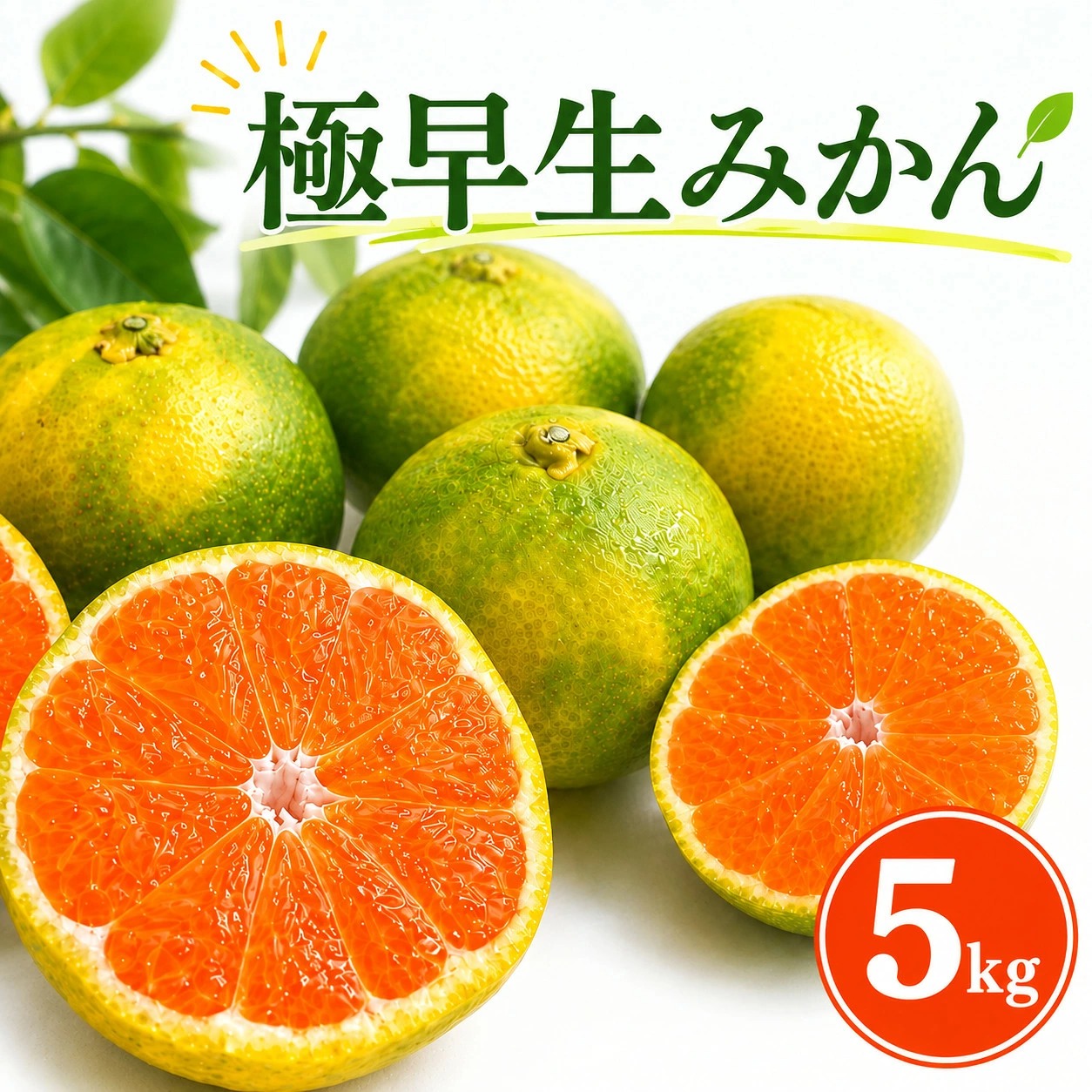 【先行予約】極早生みかん 5kg | 温州みかん みかん 蜜柑 ミカン 柑橘 緑のみかん 酸っぱい 酸味 家庭用 秋の味覚 旬 ごくわせ フルーツ 果物 くだもの 産地直送 数量限定 期間限定 国産