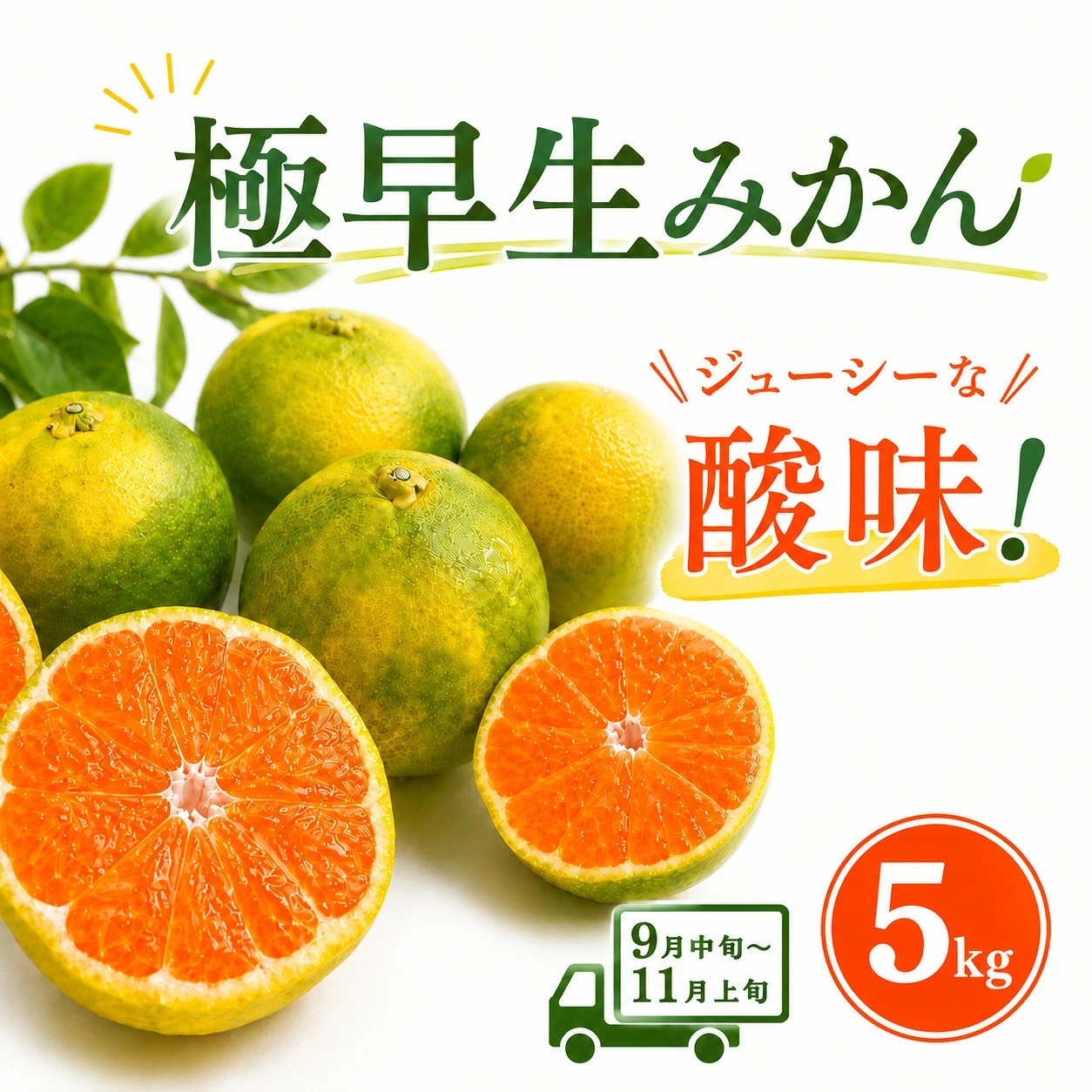 【先行予約】極早生みかん 5kg | 温州みかん みかん 蜜柑 ミカン 柑橘 緑のみかん 酸っぱい 酸味 家庭用 秋の味覚 旬 ごくわせ フルーツ 果物 くだもの 産地直送 数量限定 期間限定 国産