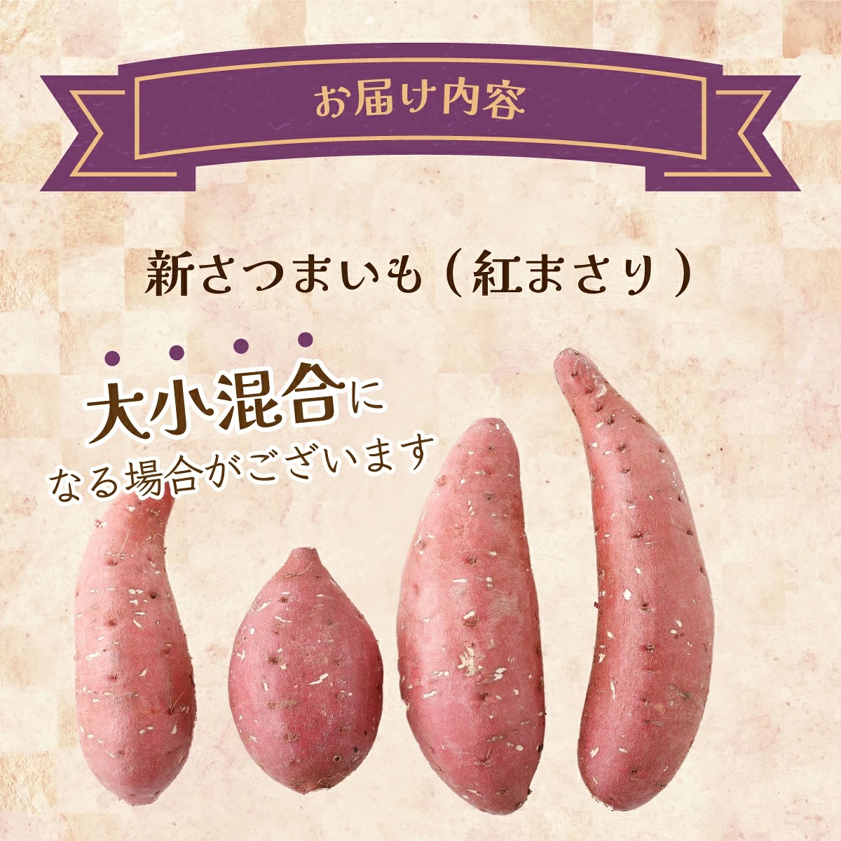 【先行予約】数量限定 掘りたて！あま～い 新さつまいも 紅まさり 2.5kg 芋 さつま芋 野菜 サツマイモ 焼き芋 甘い スイートポテト 旬 やさい 家庭用