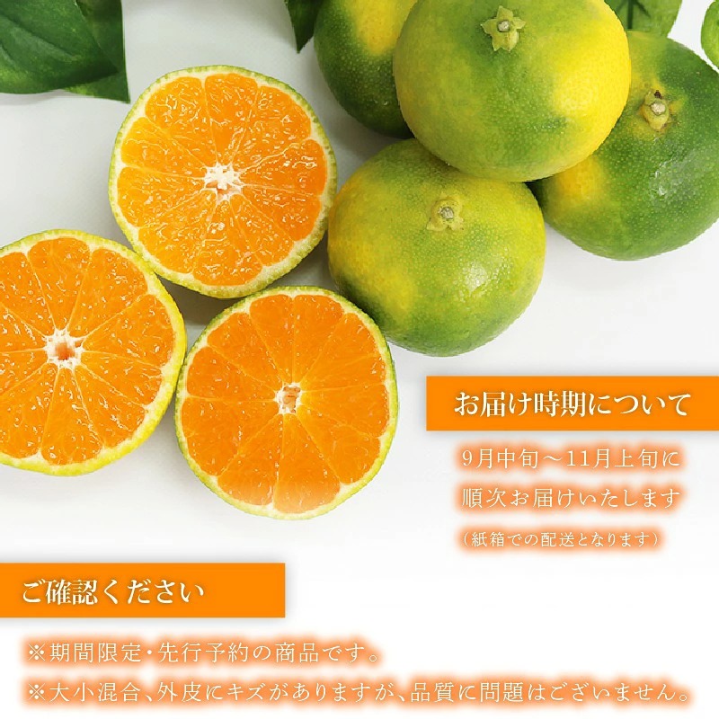【先行予約】訳アリ 極早生みかん 5kg | 温州みかん みかん 蜜柑 ミカン 柑橘 緑のみかん 酸っぱい 酸味 不揃い 訳あり 家庭用 秋の味覚 旬 ごくわせ フルーツ 果物 くだもの 産地直送