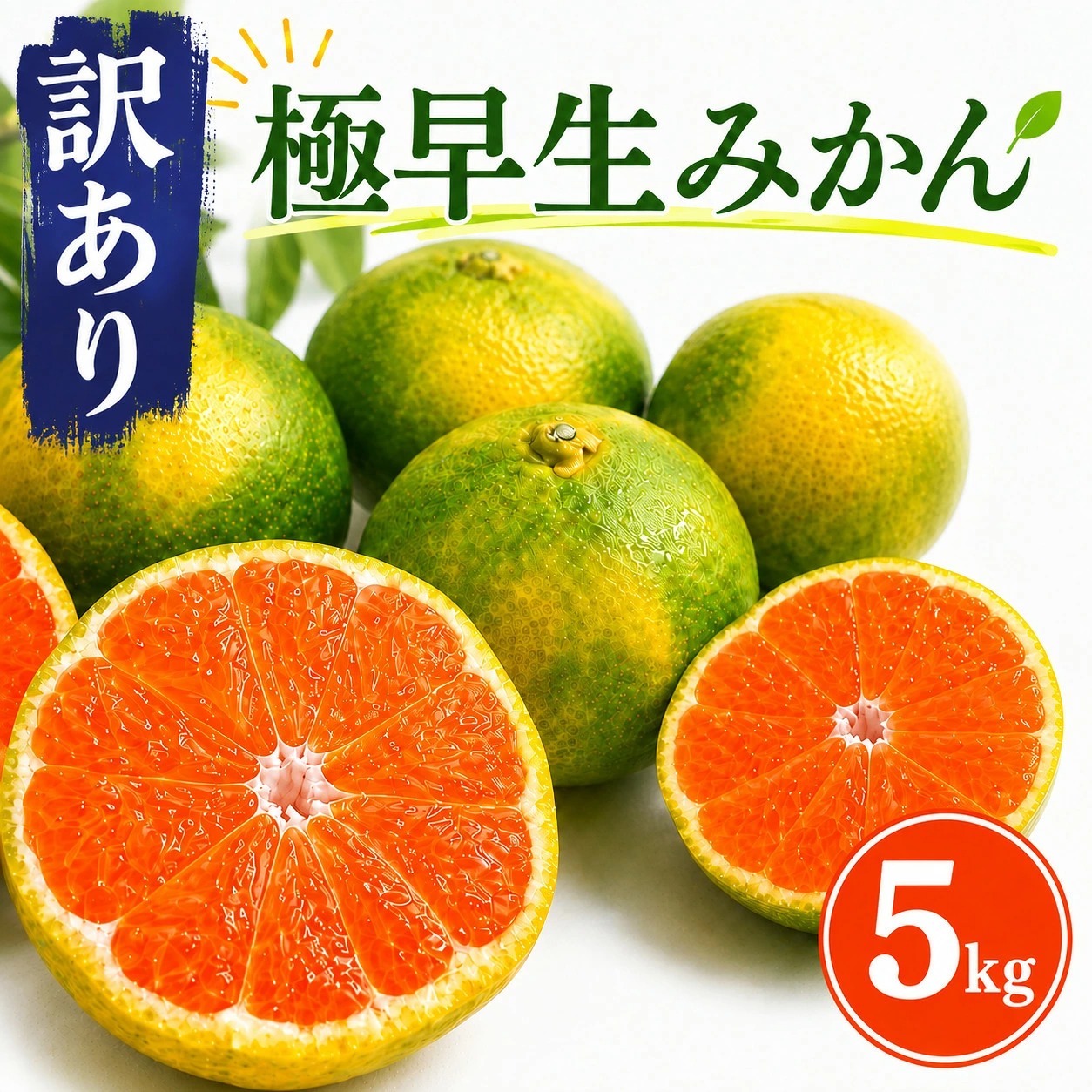 【先行予約】訳アリ 極早生みかん 5kg | 温州みかん みかん 蜜柑 ミカン 柑橘 緑のみかん 酸っぱい 酸味 不揃い 訳あり 家庭用 秋の味覚 旬 ごくわせ フルーツ 果物 くだもの 産地直送
