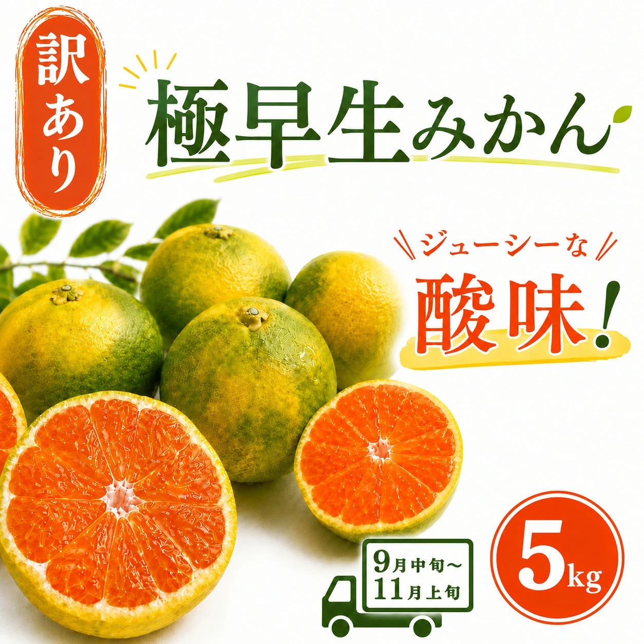 【先行予約】訳アリ 極早生みかん 5kg | 温州みかん みかん 蜜柑 ミカン 柑橘 緑のみかん 酸っぱい 酸味 不揃い 訳あり 家庭用 秋の味覚 旬 ごくわせ フルーツ 果物 くだもの 産地直送