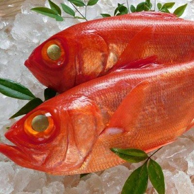 高級金目鯛2尾(鮮魚)
