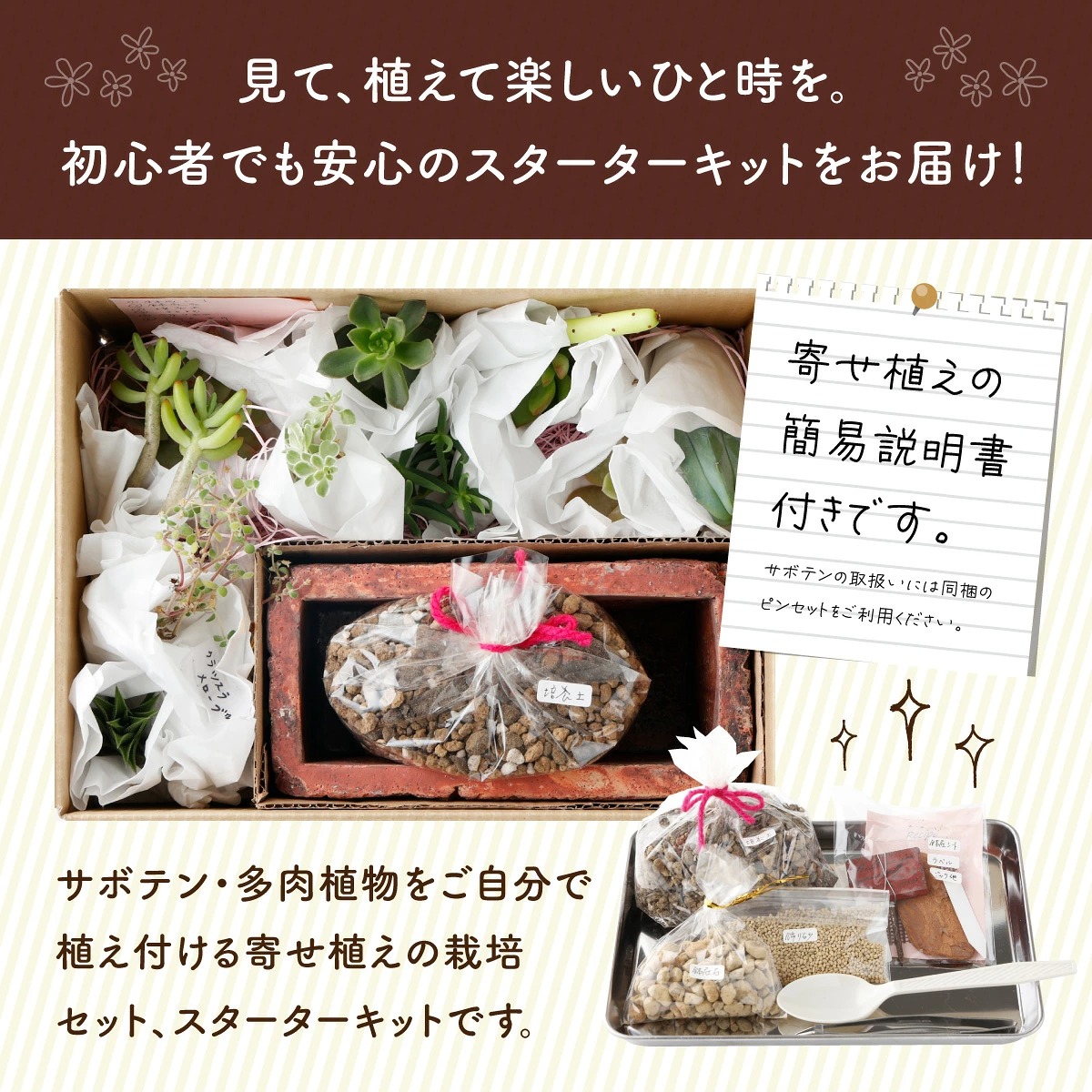 サボテン多肉植物の「アンティーク調鉢寄せ植えキット」（鉢色・ブラウン、鉢サイズ・大） 可愛い ミニサイズ 人気 オススメ 趣味 インテリア ナチュラル 自然 風水 緑 かわいい 初心者 おすすめ