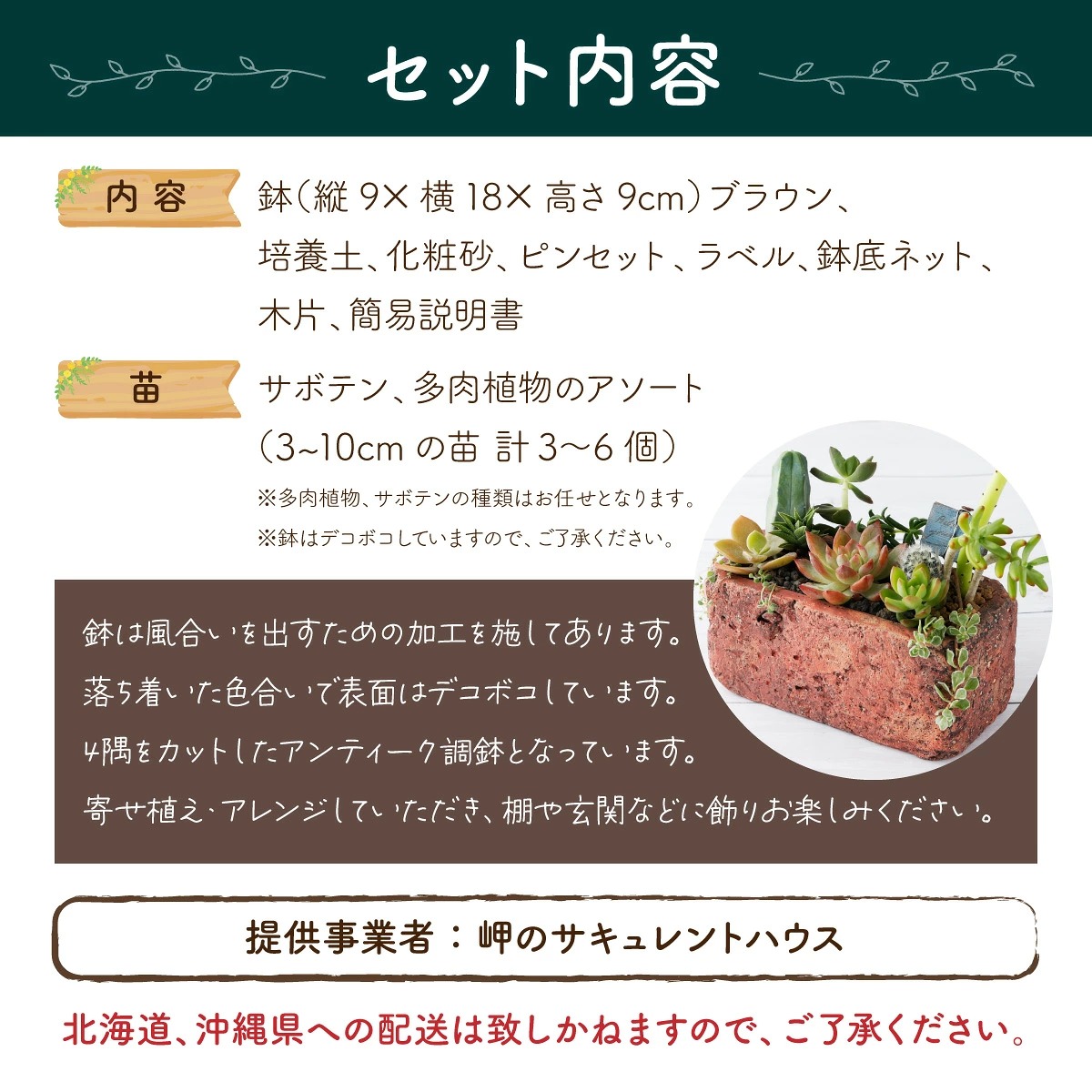 サボテン多肉植物の「アンティーク調鉢寄せ植えキット」（鉢色・ブラウン、鉢サイズ・大） 可愛い ミニサイズ 人気 オススメ 趣味 インテリア ナチュラル 自然 風水 緑 かわいい 初心者 おすすめ