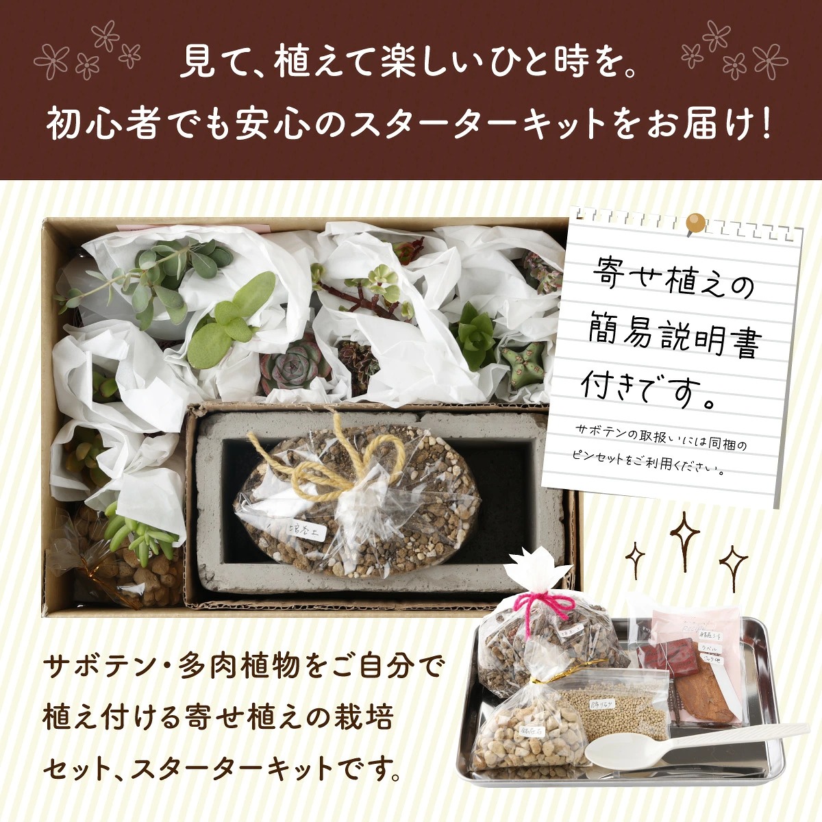 サボテン多肉植物の「アンティーク調鉢寄せ植えキット」（鉢色・ナチュラル、鉢サイズ・大）