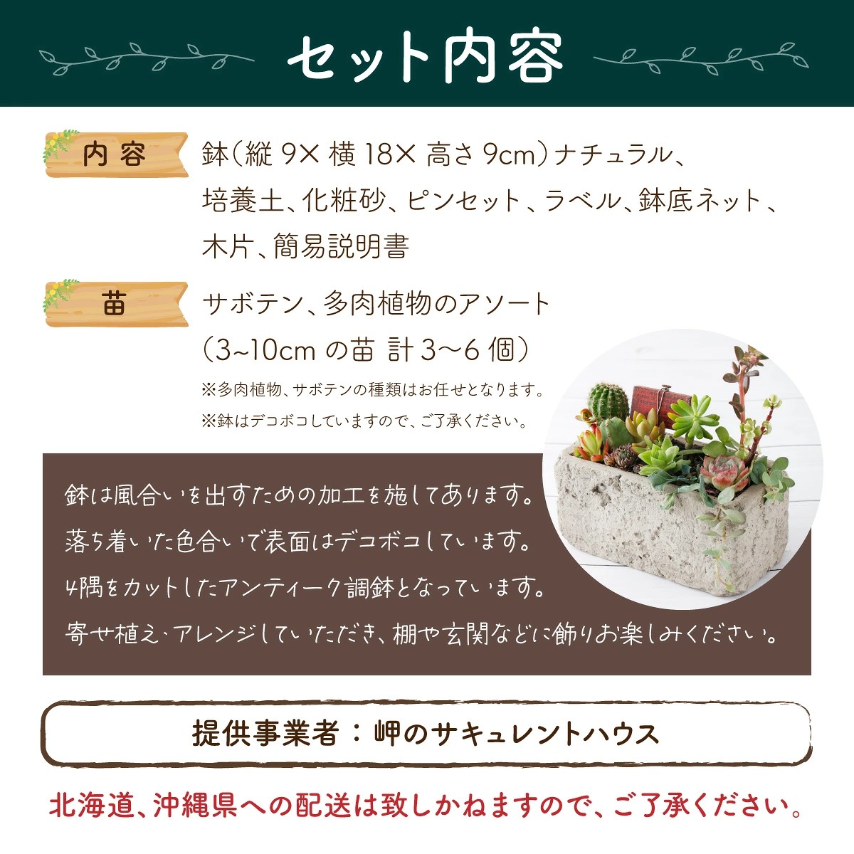 サボテン多肉植物の「アンティーク調鉢寄せ植えキット」（鉢色・ナチュラル、鉢サイズ・大）
