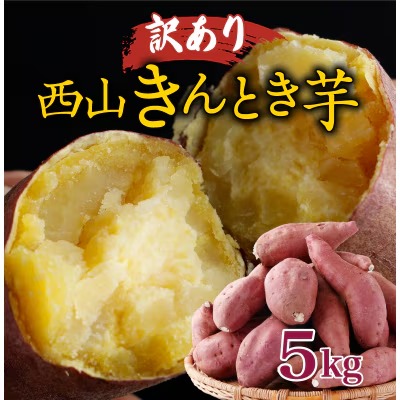 西山きんとき芋 5kg~10kg | 訳あり 新芋 さつまいも サツマイモ さつま芋 焼き芋 やきいも ヤキイモ 人気 野菜 不揃い 規格外 おやつ デザート秋 旬 生芋 ご家庭用 高知県 室戸市
