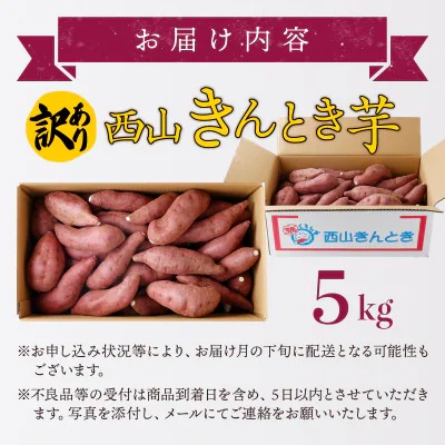 西山きんとき芋 5kg~10kg | 訳あり 新芋 さつまいも サツマイモ さつま芋 焼き芋 やきいも ヤキイモ 人気 野菜 不揃い 規格外 おやつ デザート秋 旬 生芋 ご家庭用 高知県 室戸市