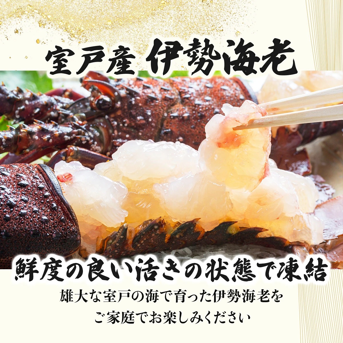 室戸産 活冷 伊勢海老 約500g｜伊勢海老 伊勢エビ 伊勢 海老 エビ イセエビ 刺身 味噌汁 鍋 ボイル エビフライ アレンジ可 新鮮 海鮮 高知県 室戸市 tk009