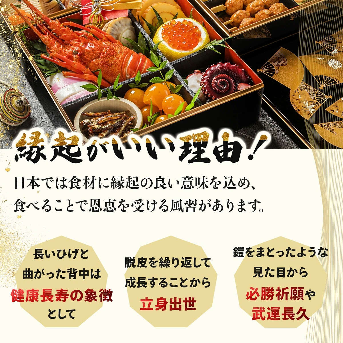室戸産 活冷 伊勢海老 約500g｜伊勢海老 伊勢エビ 伊勢 海老 エビ イセエビ 刺身 味噌汁 鍋 ボイル エビフライ アレンジ可 新鮮 海鮮 高知県 室戸市 tk009