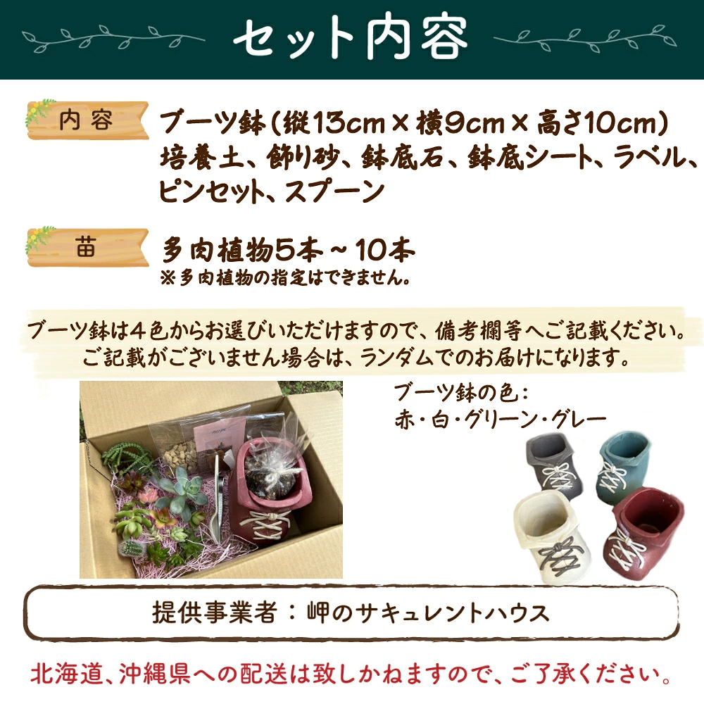 ブーツ鉢に植える！ 多肉植物の寄せ植えセット (片足) 多肉植物5本～10本入り  可愛い ミニサイズ 人気 オススメ 趣味 インテリア ナチュラル 自然 風水 緑 かわいい 初心者 おすすめ