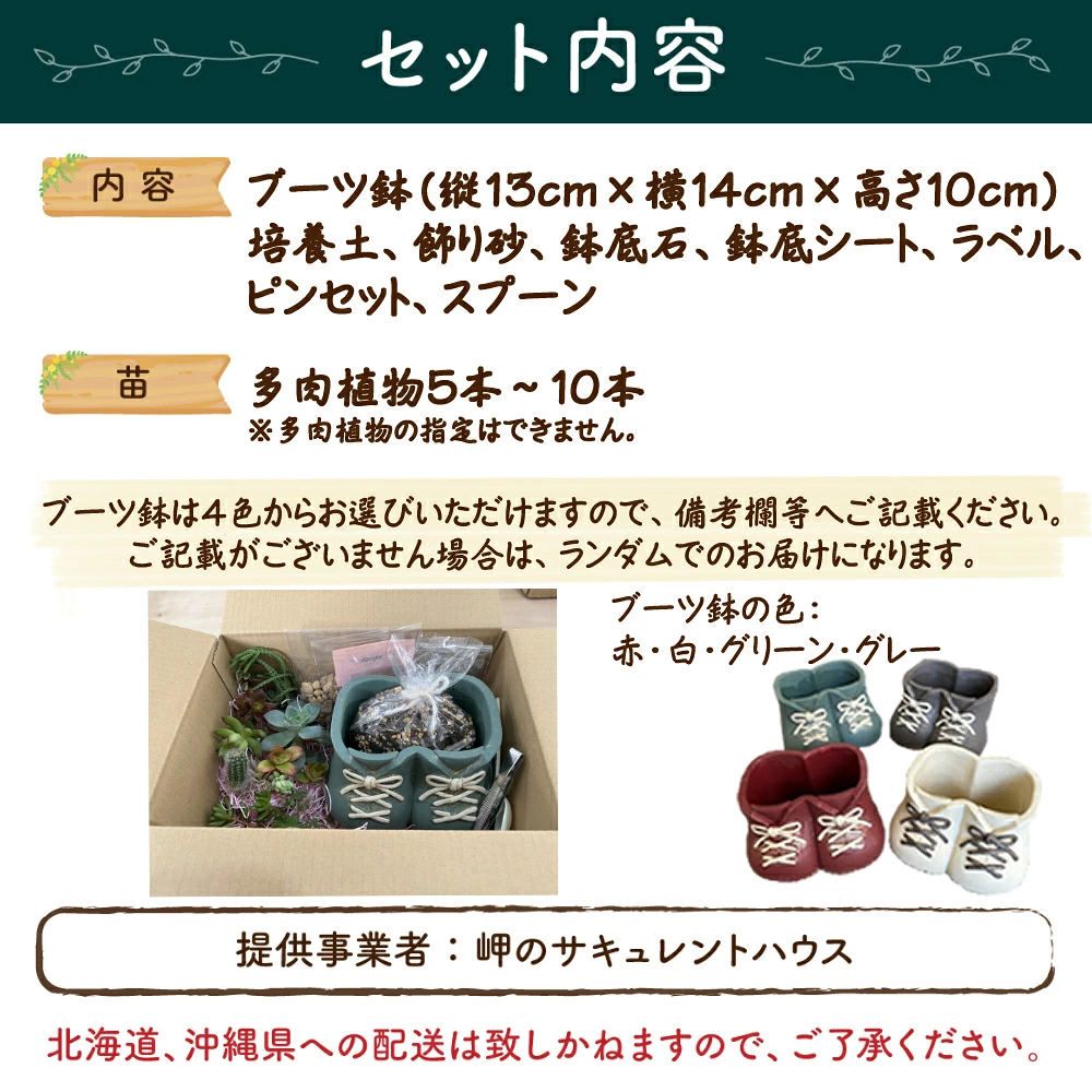 ブーツ鉢に植える！ 多肉植物の寄せ植えセット (両足) 多肉植物5本～10本入り  可愛い ミニサイズ 人気 オススメ 趣味 インテリア ナチュラル 自然 風水 緑 かわいい 初心者 おすすめ