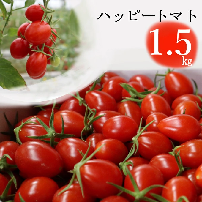 ハッピートマト１．５ｋｇ【室戸海洋深層水ブランドマーク取得】