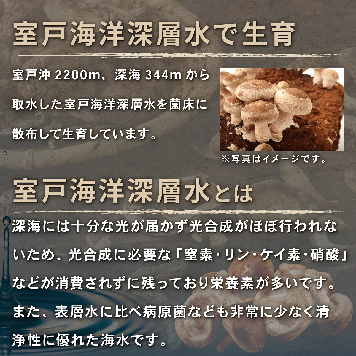 干し椎茸 10袋 計300g  国産 佐喜浜しいたけ 干ししいたけ 椎茸 シイタケ 乾しいたけ 乾物 きのこ キノコ 野菜 栄養 美容 味噌汁 みそ汁 出汁 室戸海洋深層水使用 小分けパック 高知県