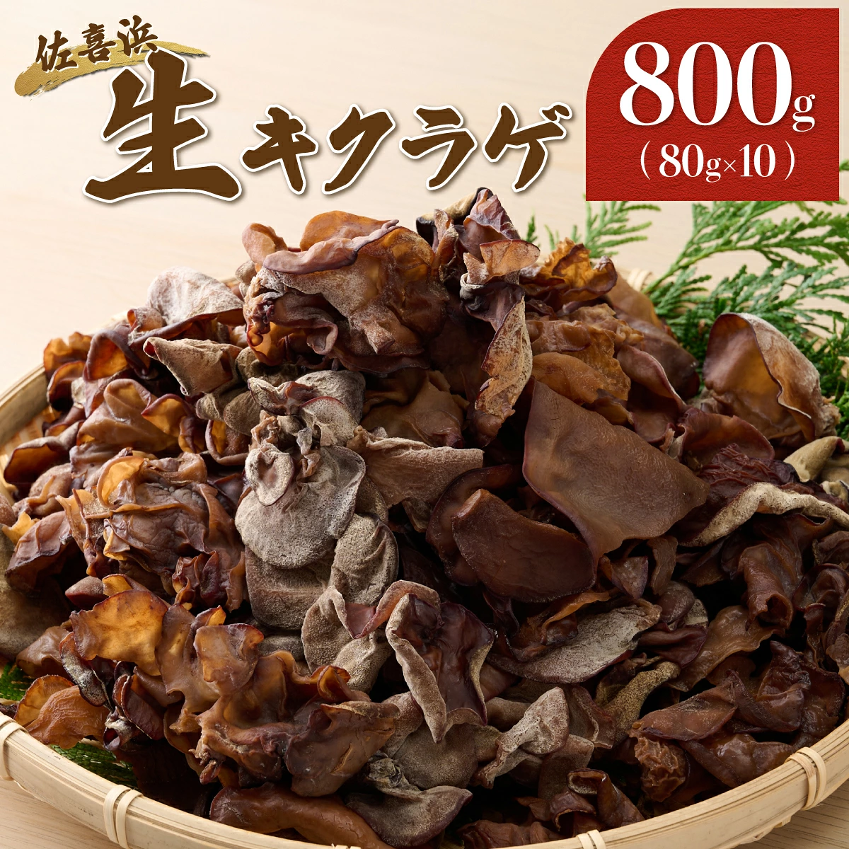 生きくらげ 国産 きくらげ 佃煮 木耳 佐喜浜きくらげ 80g 10袋 800g 800グラム 小分け パック 海洋深層水 野菜 低カロリー 食物繊維 ヘルシー 美容 健康 中華 炒め物