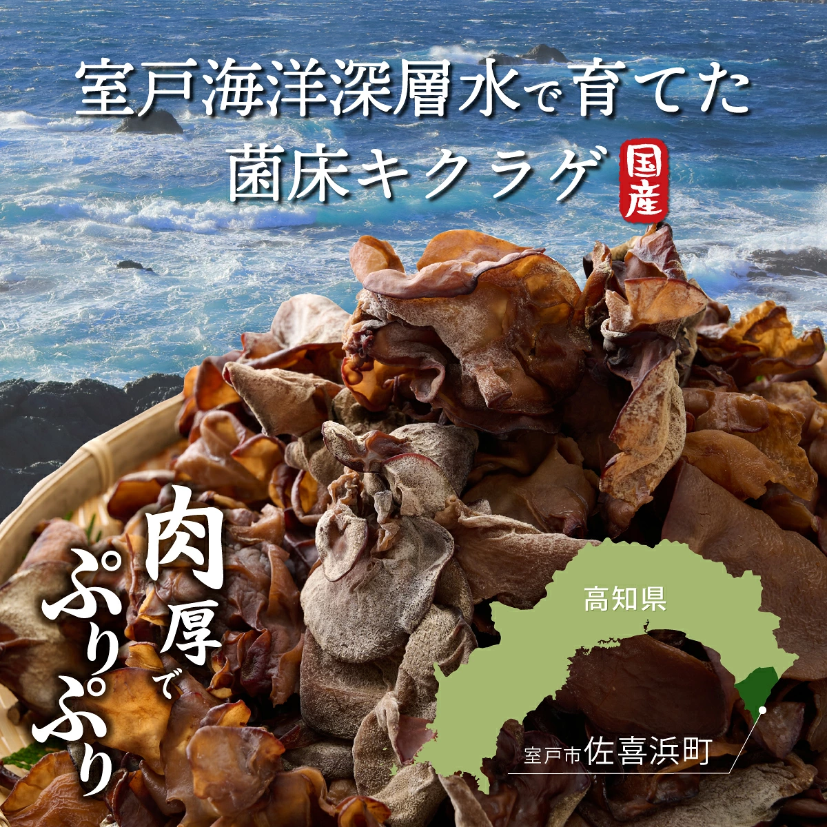 生きくらげ 国産 きくらげ 佃煮 木耳 佐喜浜きくらげ 80g 10袋 800g 800グラム 小分け パック 海洋深層水 野菜 低カロリー 食物繊維 ヘルシー 美容 健康 中華 炒め物