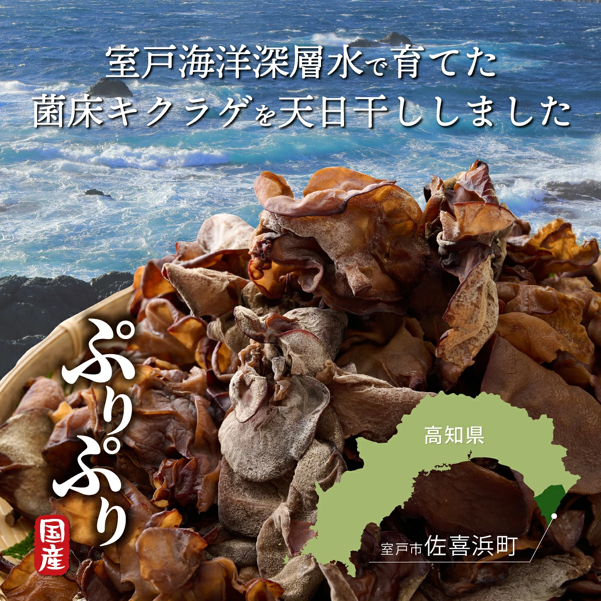 乾燥きくらげ 国産 きくらげ 佃煮 木耳 佐喜浜きくらげ 乾物 30g 10袋 300g 300グラム 小分け パック 海洋深層水 野菜 低カロリー 食物繊維 ヘルシー 美容 健康 中華 炒め物