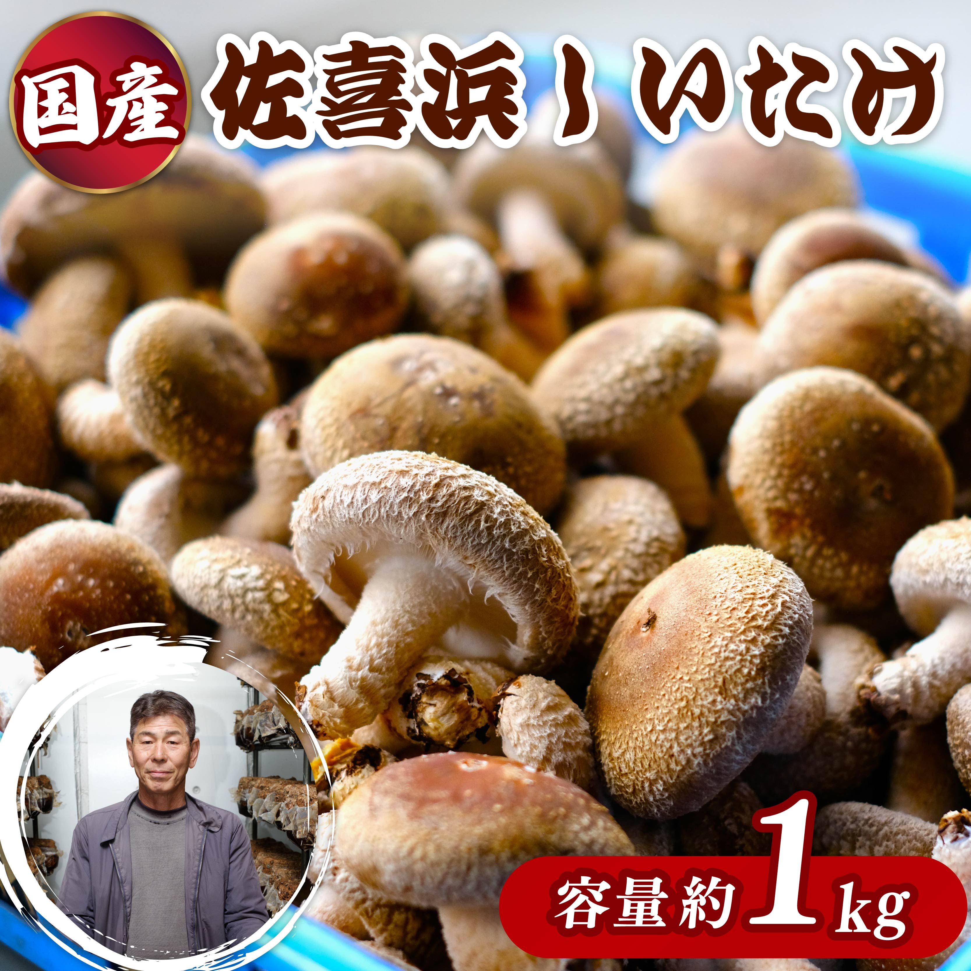 国産 佐喜浜しいたけ 約1㎏ 椎茸 しいたけ 肉厚 うまみ 菌床 きのこ キノコ 調理 料理 ごはん ご飯 10000円以上 1万 高知県