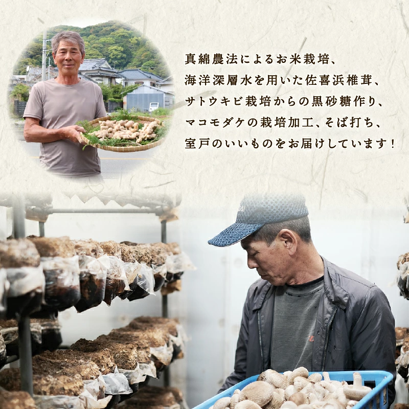 米 5kg 令和7年度産 コシヒカリ こしひかり お米 白米 国産米 高知県 佐喜浜町産 産地直送 おにぎり お弁当 高知県 室戸市