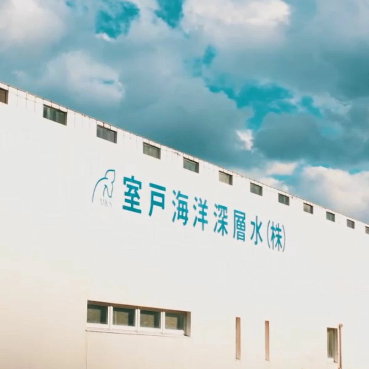 塩結‐三つ彩‐ b 小分け 業務用 塩 調味料 塩分 熱中症対策 にがり マグネシウム 料理 健康 美容 海洋深層水使用 天日塩 結晶 うまみ 高知県室戸市 海洋深層水 塩むすび おにぎり