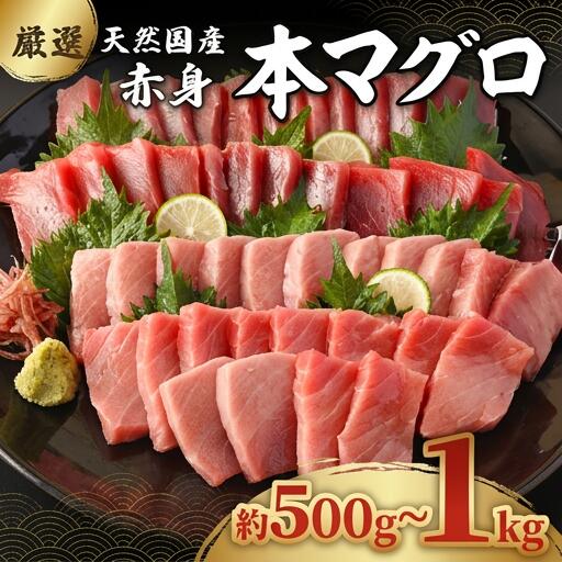 【数量限定】 厳選 天然 本マグロ 赤身 500g 以上 国産 マグロ 鮮魚 刺身 刺し身 漬け丼 海鮮丼 おかず 魚介類 海鮮 海産物 まぐろ 本まぐろ 鮪 ブロック 500グラム 惣菜 冷凍