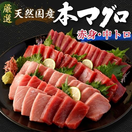 【数量限定】 天然 本マグロ 中トロ・赤身 500g 国産 魚 高知県 室戸市 刺身 刺し身 漬け丼 海鮮丼 おかず 魚介類 海鮮 海産物 まぐろ 本まぐろ 鮪 ブロック 惣菜 冷凍 スピード発送