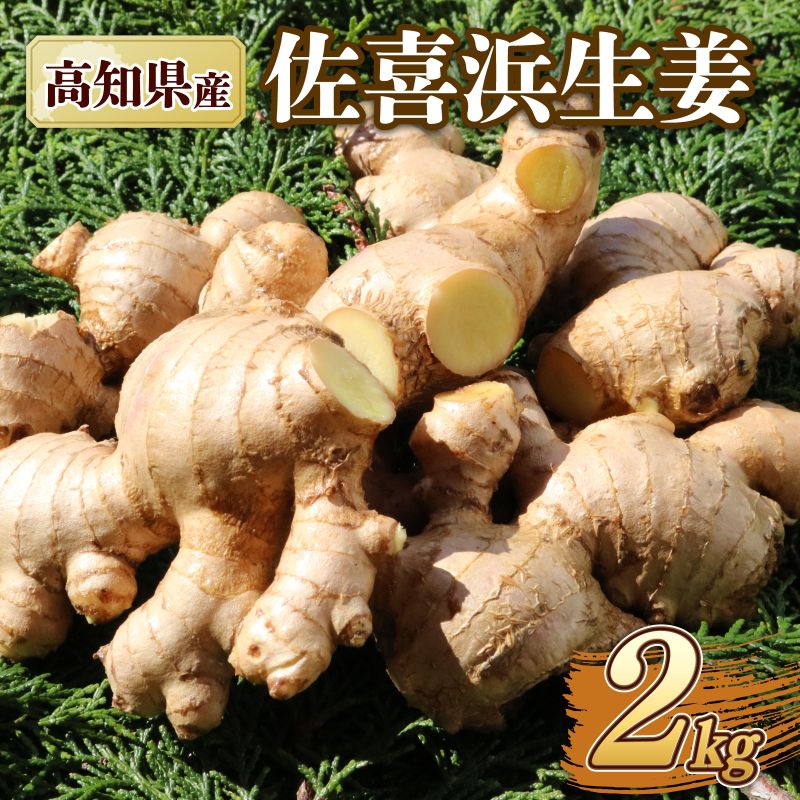 国産 佐喜浜生姜 約2kg 生姜 ショウガ 野菜 やさい 薬味 料理 家庭用 農家直送 旬 野菜 生姜焼き 高知県 室戸市