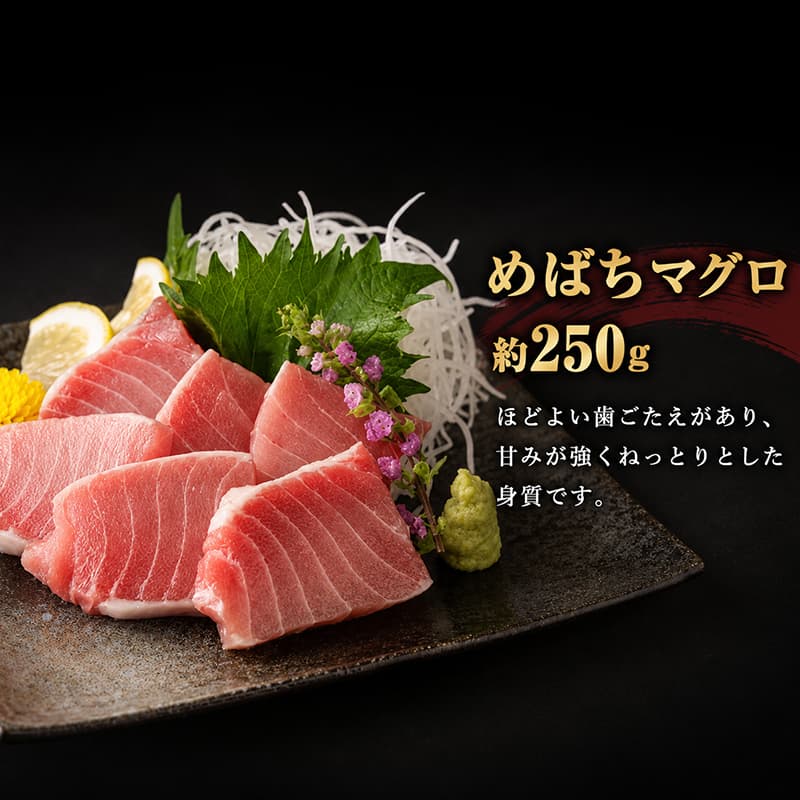 【 定期便 5回 】 厳選 天然マグロ 2種 セット 650g ( めばちマグロ 250g・ びんちょうまぐろ 400g) 2種類 ふるさと納税 限定 食べ比べ まぐろ 鮪 魚 高知県 室戸市 ge007