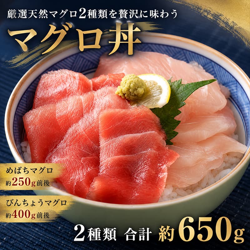 【 定期便 5回 】 厳選 天然マグロ 2種 セット 650g ( めばちマグロ 250g・ びんちょうまぐろ 400g) 2種類 ふるさと納税 限定 食べ比べ まぐろ 鮪 魚 高知県 室戸市 ge007