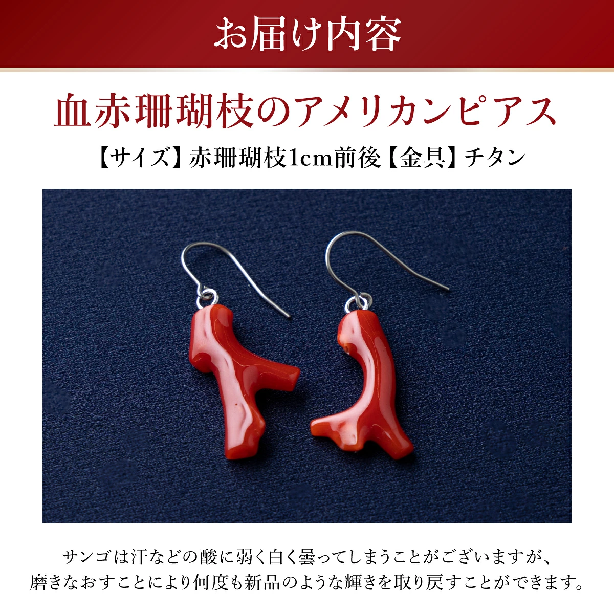 血赤珊瑚枝のアメリカンピアス | アクセサリー ピアス ジュエリー 珊瑚 赤珊瑚 宝石 サンゴ プレゼント クリスマス バレンタイン カジュアル レディース シンプル 贈答用 人気 高知県 室戸市 kn002