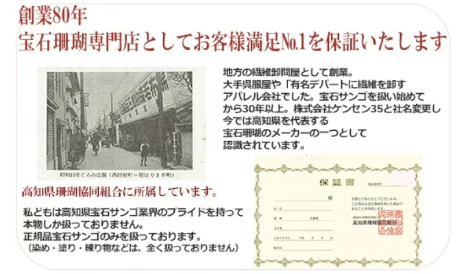 赤珊瑚とオニキス3連ネックレス | アクセサリー ネックレス ジュエリー 珊瑚 赤珊瑚 宝石 サンゴ プレゼント クリスマス バレンタイン カジュアル レディース シンプル 贈答用 人気 kn010