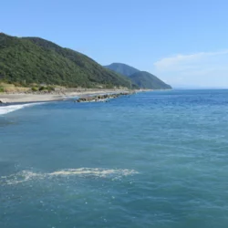 活き伊勢海老 2～5尾 1kg 魚函水槽 セット 伊勢海老 海老 エビ 魚介類 えび魚介 刺身 産地直送 新鮮 海鮮 高知県 室戸市