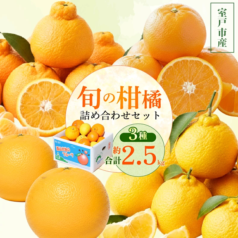 【先行予約】【数量限定】 訳あり はるか 4kg サラダみかん 春待つみかん 家庭用 柑橘 産地直送 みかん 柑橘 日向夏 高知県 室戸市 果物 フルーツ 爽やか