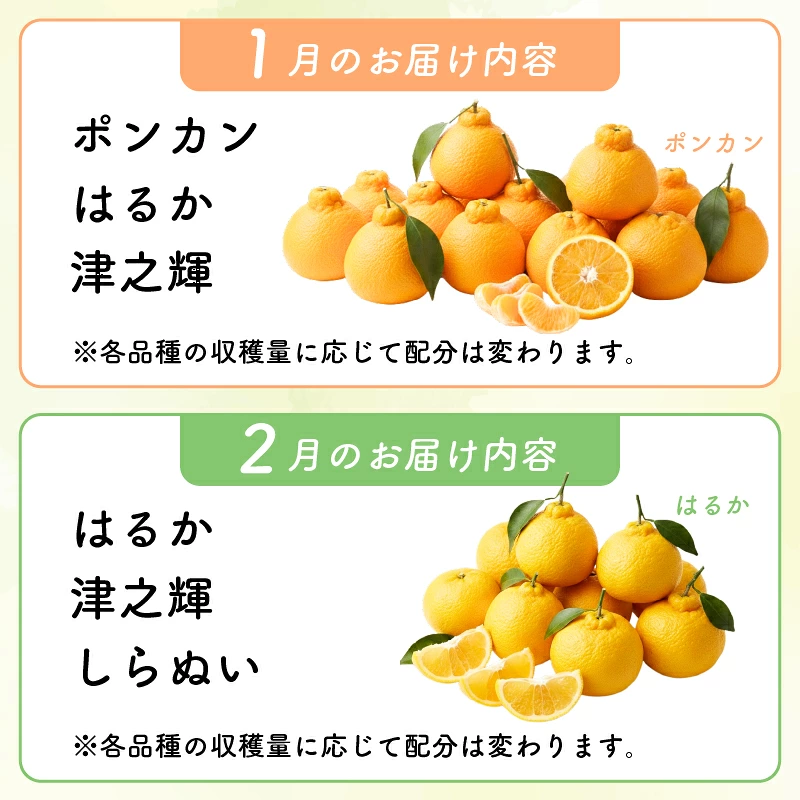 【先行予約】【数量限定】 訳あり はるか 4kg サラダみかん 春待つみかん 家庭用 柑橘 産地直送 みかん 柑橘 日向夏 高知県 室戸市 果物 フルーツ 爽やか