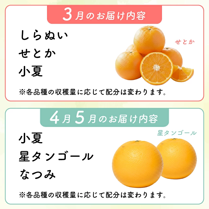 【先行予約】【数量限定】 訳あり はるか 4kg サラダみかん 春待つみかん 家庭用 柑橘 産地直送 みかん 柑橘 日向夏 高知県 室戸市 果物 フルーツ 爽やか