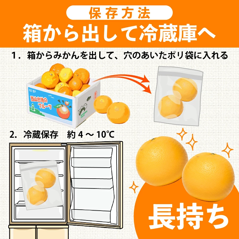 【先行予約】【数量限定】 訳あり はるか 4kg サラダみかん 春待つみかん 家庭用 柑橘 産地直送 みかん 柑橘 日向夏 高知県 室戸市 果物 フルーツ 爽やか