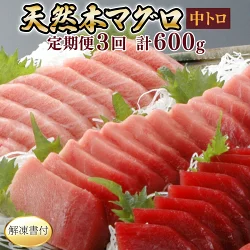 【３回定期便】天然本マグロ　中トロ　１柵　解凍書付 海鮮 魚介 鮪 惣菜 冷凍 クロマグロ まぐろ 頒布会